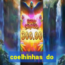 coelhinhas do brasil site